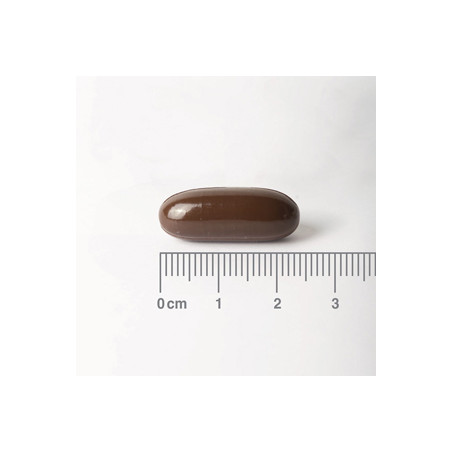 Comprar LINO SEMILLA ACEITE (FLAX SEED OIL) 1000 MG 90 CAP LAMBERTS