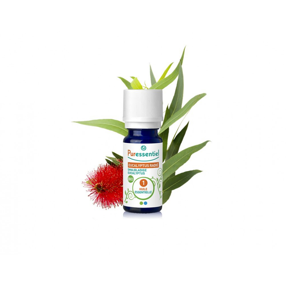 Comprar online ACEITE ESENCIAL EUCALIPTO RADIATA 10 ML BIO PURESSENTIEL - Farmacia Coliseum
