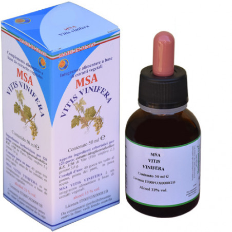 Comprar VITIS VINIFERA GEMAS MSA VID 50 CC HERBOPLANET online-Coliseum