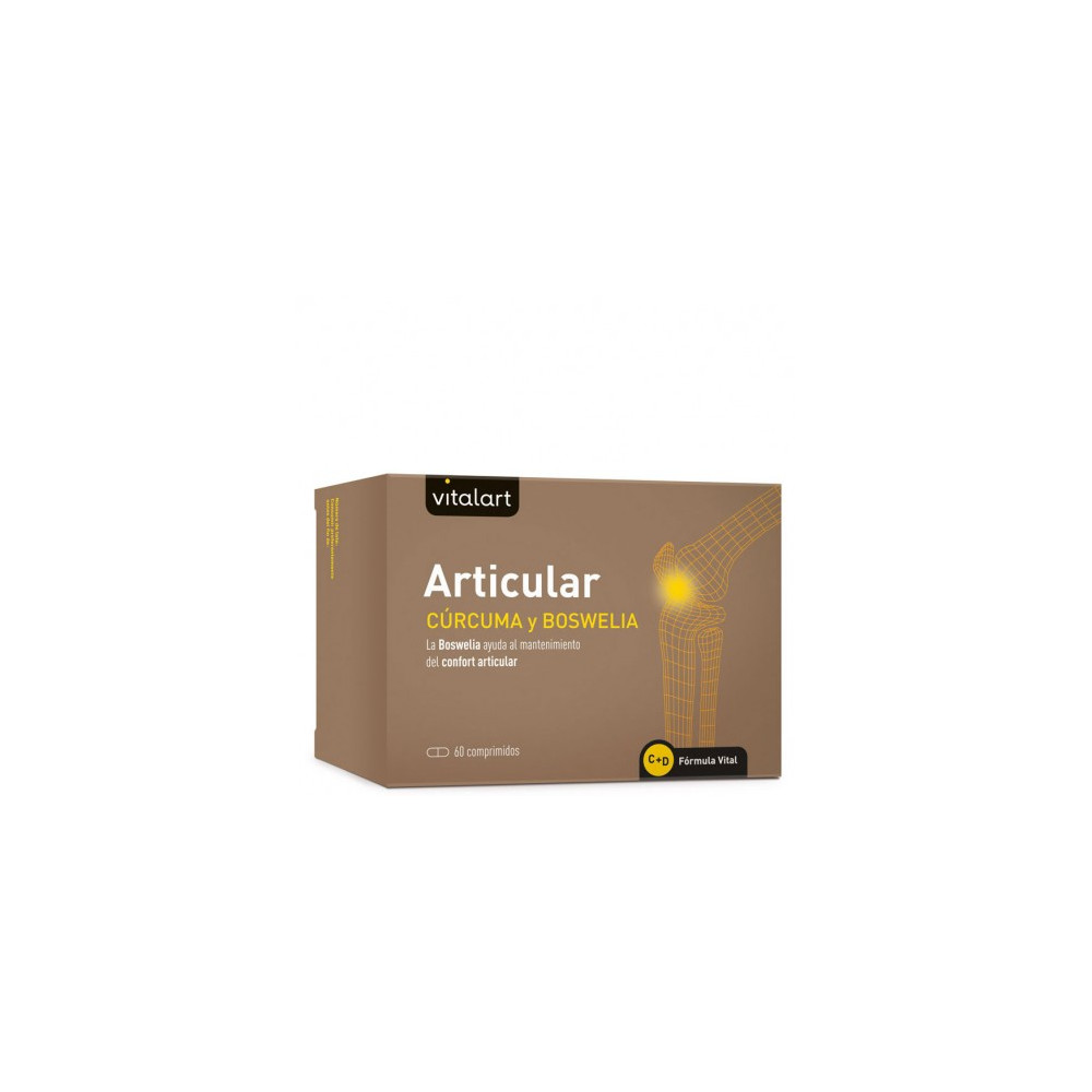 Comprar online ARTICULAR PACK DUPLO 2 x 60 COMP VITALART