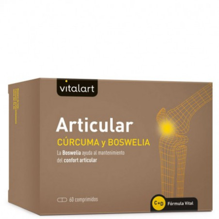 Comprar online ARTICULAR PACK DUPLO 2 x 60 COMP VITALART