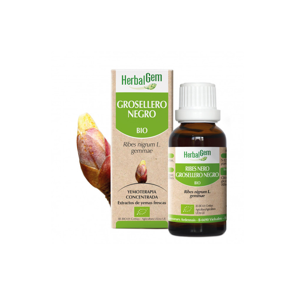 Comprar GROSELLERO NEGRO YEMODERIVADO BIO 15 CC HERBALGEM online