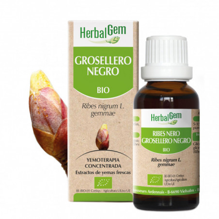 Comprar GROSELLERO NEGRO YEMODERIVADO BIO 15 CC HERBALGEM online