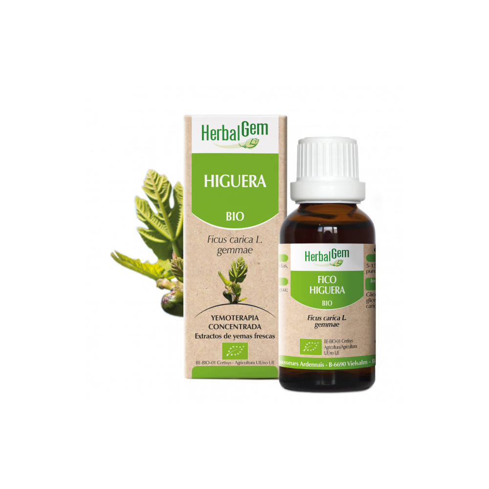 Comprar HIGUERA YEMODERIVADO BIO 30 CC HERBALGEM