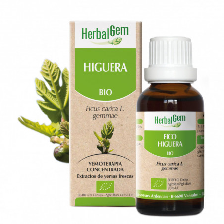 Comprar HIGUERA YEMODERIVADO BIO 30 CC HERBALGEM