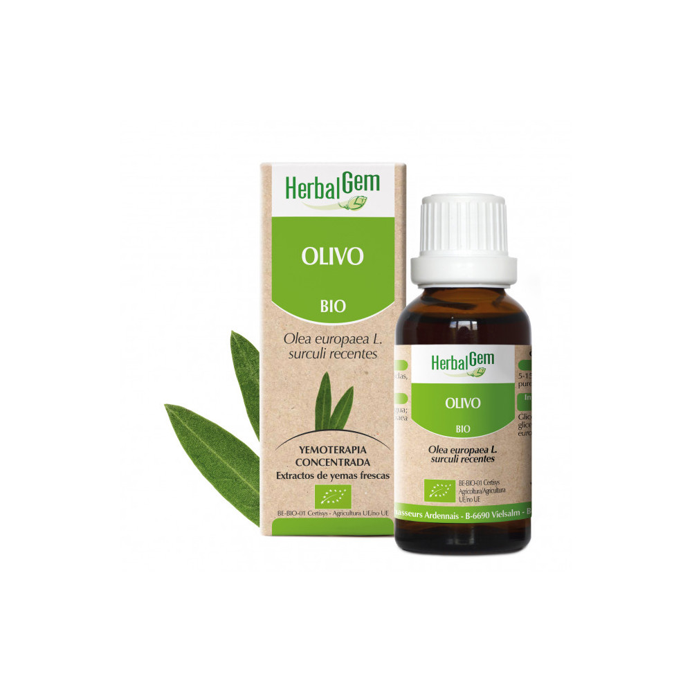 Comprar OLIVO YEMODERIVADO BIO 30 CC HERBALGEM online - Coliseum