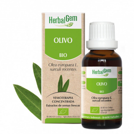 Comprar OLIVO YEMODERIVADO BIO 30 CC HERBALGEM online - Coliseum