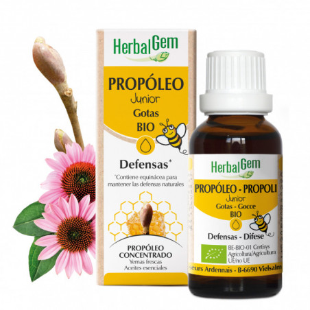 PROPOLEO JUNIOR GOTAS (+ACEITES ESENCIALES+EQUINACEA) 15 CC HERBALGEM