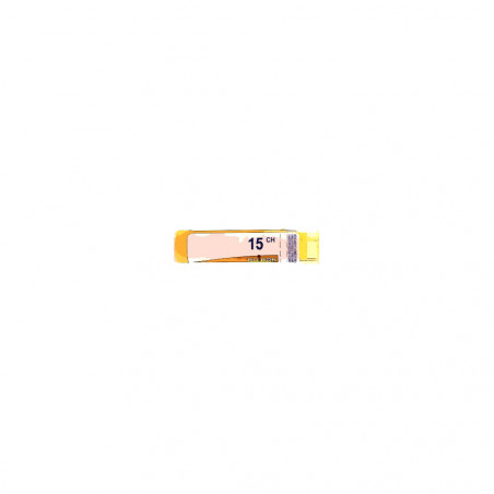 Comprar HISTAMINUM 15 CH (15CH) GRANULOS 4 GR BOIRON online