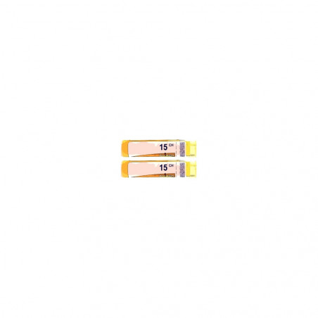 Comprar HISTAMINUM 15 CH (15CH) TUBO DOBLE GRANULOS 4 GR BOIRON