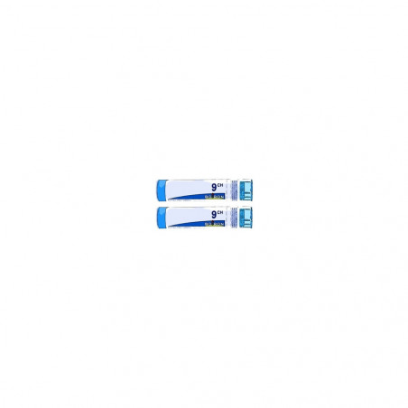 Comprar HISTAMINUM 9 CH (9CH) TUBO DOBLE GRANULOS 4 GR BOIRON online