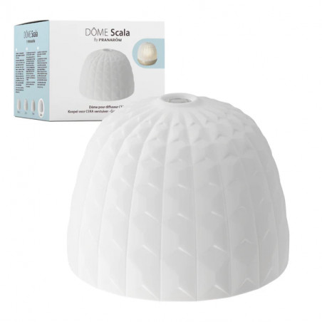Comprar CUPULA SCALA PARA DIFUSOR CERA online - Farmacia Coliseum