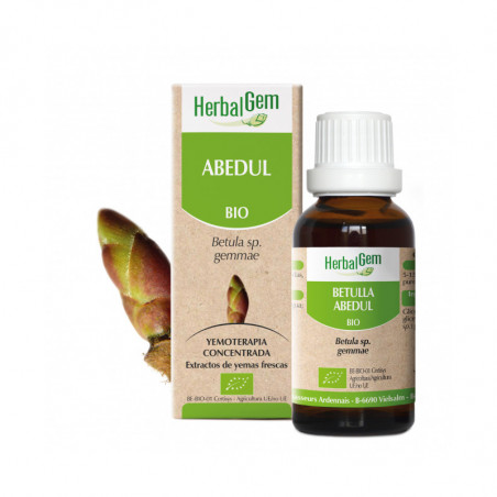 Comprar ABEDUL YEMODERIVADO BIO 30 CC HERBALGEM online - Coliseum