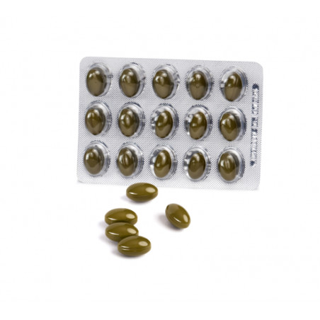 Comprar online OMEGOR MIND 30 PERLAS UGA NUTRACEUTICALS - Farmacia Coliseum
