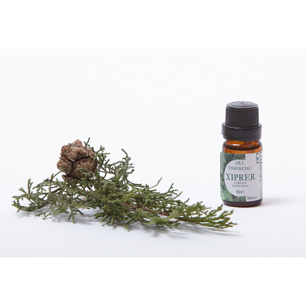 XIPRER - CIPRES - CUPRESSUS SEMPERVIRENS SILVESTRE 10 ML ESSENCIESCAT