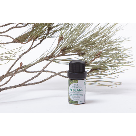PI BLANC - PINO BLANCO - PINUS HALIPENSIS SILVESTRE 5 ML ESSENCIESCAT
