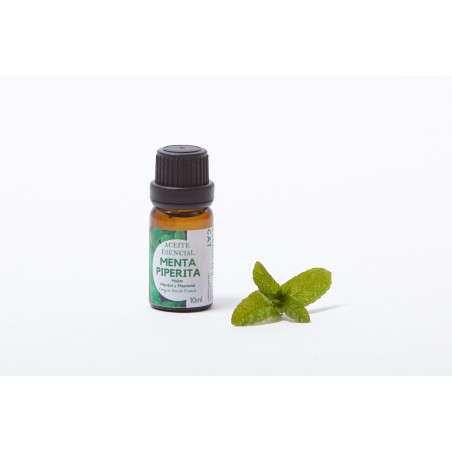 Comprar MENTA PIPERITA BIO 10 ML ESSENCIESCAT online - Coliseum