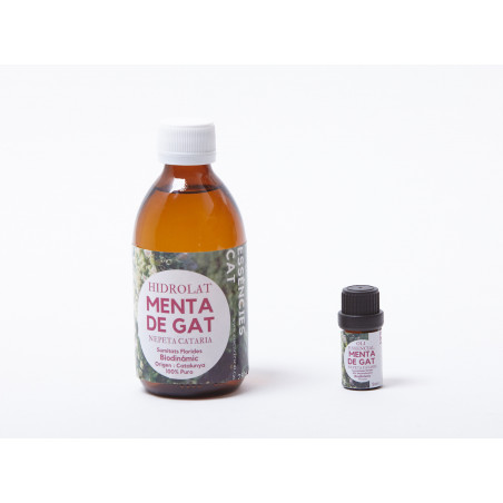 Comprar MENTA DE GATO - NEPETA CATARIA 5 ML ESSENCIESCAT online