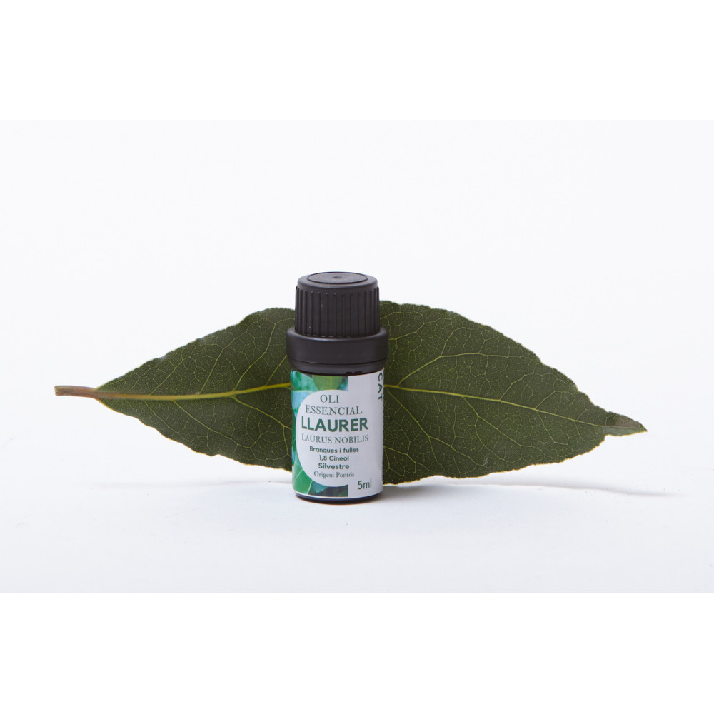 Comprar LLORER - LAUREL - LAURUS NOBILIS SILVESTRE 5 ML ESSENCIESCAT