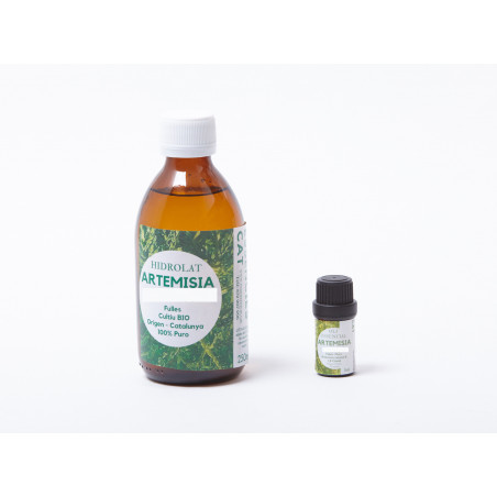 Comprar online ARTEMISIA HIDROLATO HOJAS 250ML ESSENCIESCAT - Coliseum