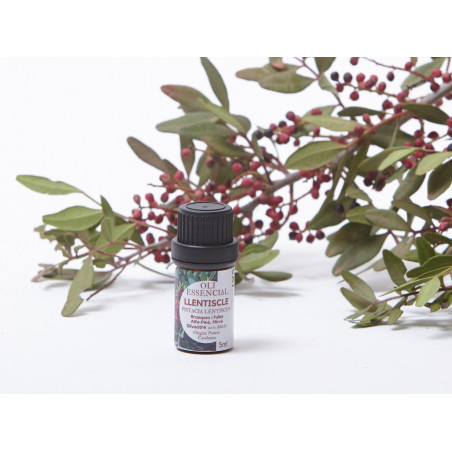 Comprar online LENTISCO DILUCION 20% SILVESTRE 5 ML ESSENCIESCAT