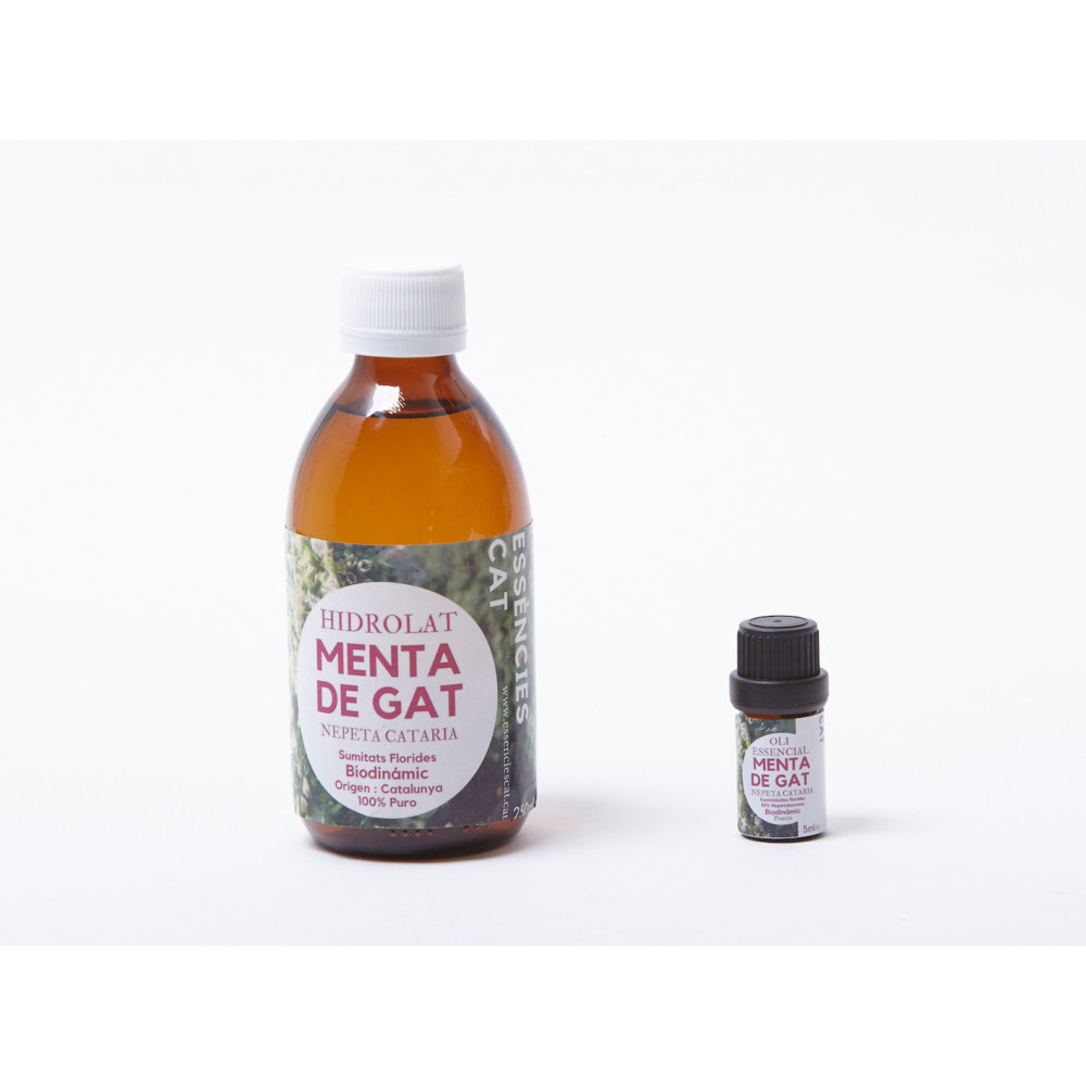 Comprar MENTA GATERA 250ML.HIDROLATO ESSENCIESCAT online - Coliseum