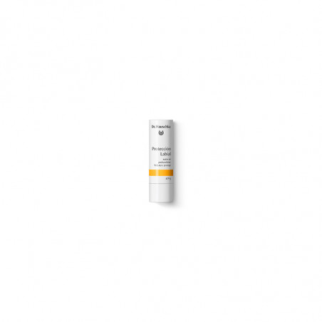 Comprar LAPIZ LABIAL 5 G.DR. HAUSCHKA online - Farmacia Coliseum