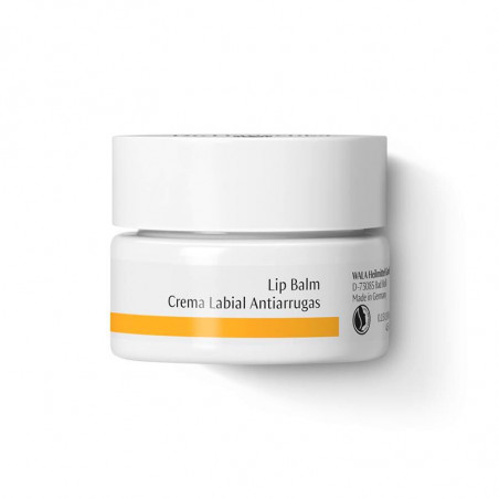 Comprar online CREMA LABIAL 4,5 ML.DR. HAUSCHKA - Farmacia Coliseum