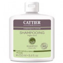CATTIER CHAMPU ARCILLA VERDE CABELLO GRASO