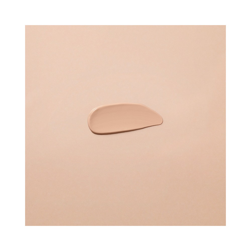 Comprar online CORRECTOR 02 CHESTNUT 2,5 MLDR. HAUSCHKA - Coliseum