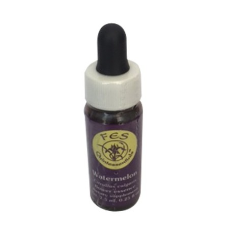 Comprar online E.F. WATERMELON 7,5 ML FES CALIFORNIA - Coliseum
