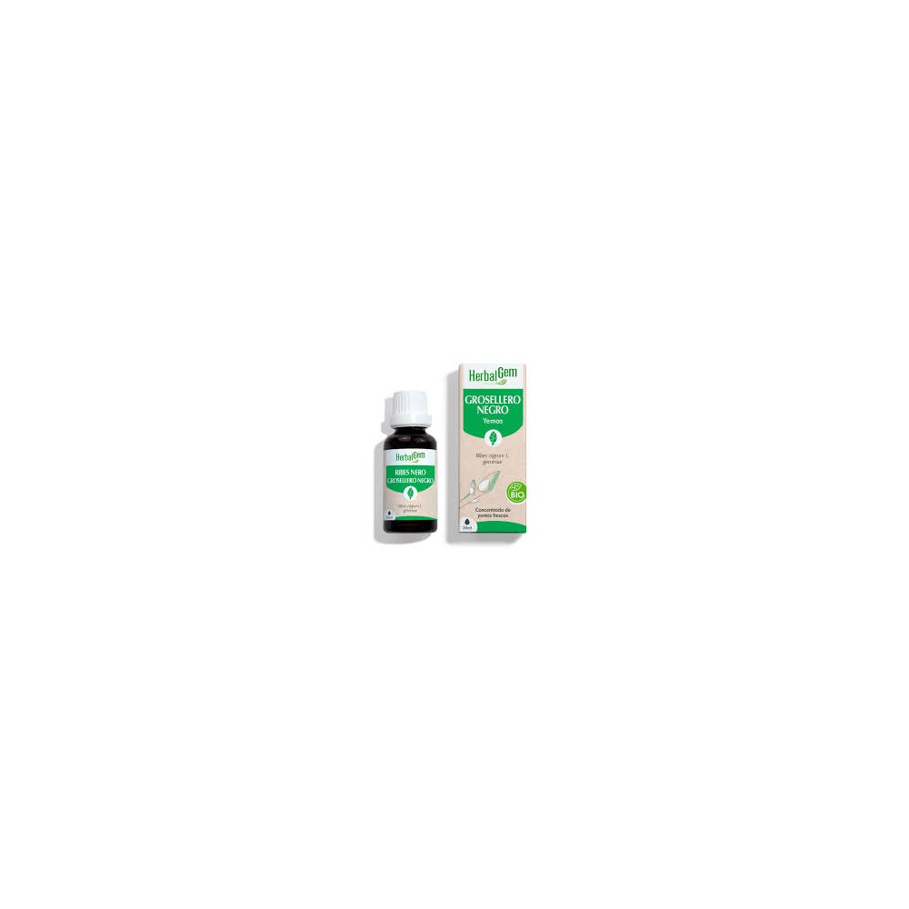Comprar online GROSELLERO NEGRO YEMODERIVADO BIO 30 CC HERBALGEM