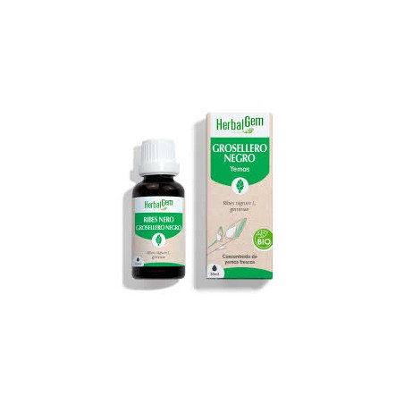 Comprar online GROSELLERO NEGRO YEMODERIVADO BIO 30 CC HERBALGEM