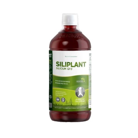 Comprar online SILICIUM G7 SILIPLANT 1 L SILICIUM ESPAÑA - Coliseum