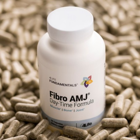 Comprar online FIBRO AMJ DAYTIME FORMULA 90 CAP 4 LIFE - Coliseum