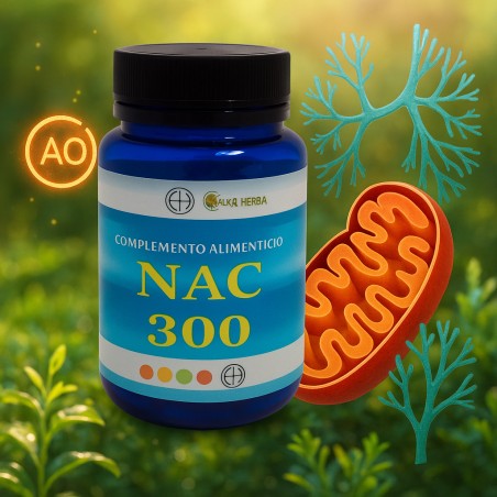 Comprar NAC 300 (N ACETILCISTEINA) 300 MG 90 CAP ALFA HERBAL online