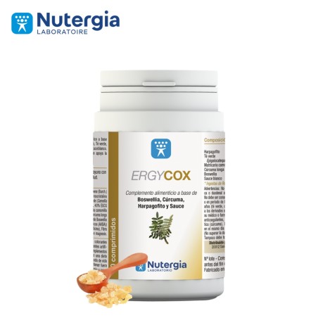 Comprar online ERGYCOX 90 COMP NUTERGIA - Farmacia Coliseum