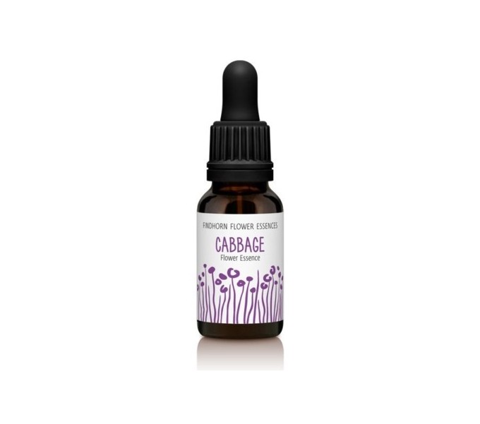 Comprar FINDHORN CABBAGE COL 15 ML online - Farmacia Coliseum