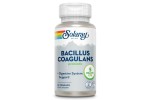 Comprar online BACILLUS COAGULANS 60 CAPS SOLARAY - Farmacia Coliseum