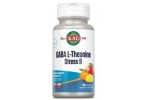 Comprar GABA L-THEANINA STRESS 100 CAPS SOLARAY online - Farmacia Coliseum