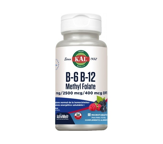 Comprar METHYL FOLATE B6/B12 (HOMOCISTEIN) 60 COMP SUBLINGUALS SOLARAY