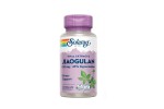Comprar JIAOGULAN 410MG 60VEGCAPS SOLARAY online - Farmacia Coliseum