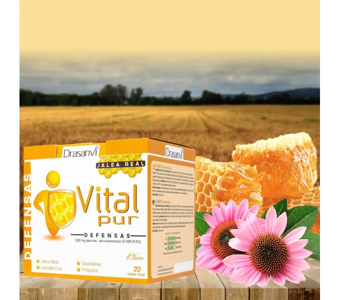 Comprar VITALPUR DEFENSAS 20 VIALES DRASANVI online - Coliseum