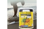 COLLMAR COLAGENO MAGNESIO HIALURONICO CURCUMA LIMON 300 GR DRASANVI