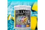 COLLMAR LIMON COLAGENO MARINO MAGNESIO HIALURONICO 300GR DRASANVI