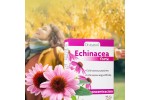 Comprar online ECHINACEA  45 CAPS DRASANVI - Farmacia Coliseum
