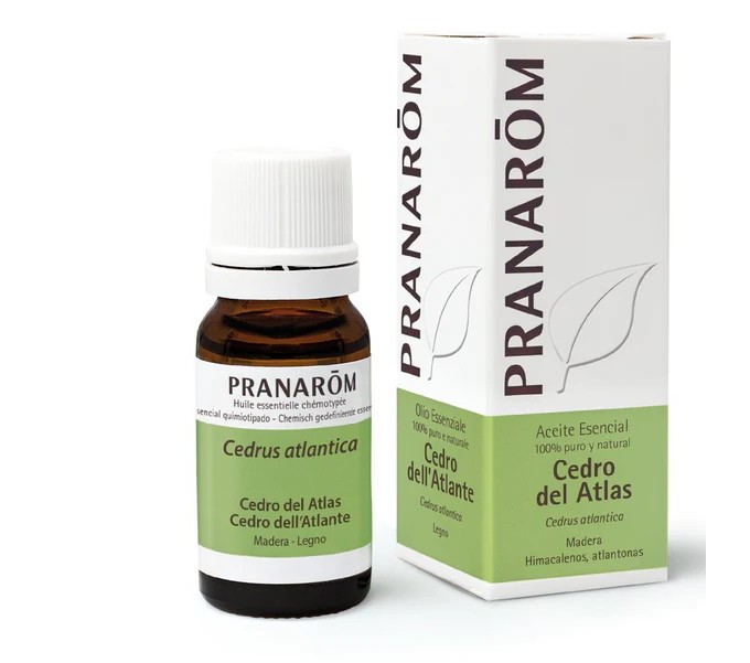 CEDRO ATLAS O.E. MADERA CEDRUS ATLANTICA 10 CC PRANAROM