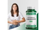 JENGIBRE BIO 90 CAPS PHYTOMANCE THERASCIENCE