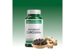 Comprar online CURCUMA+ 90 COMP PHYTOMANCE THERASCIENCE