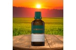 Comprar online VITAMINA D-3 5 MCG 30 ML BONUSAN FISIOSAN - Coliseum